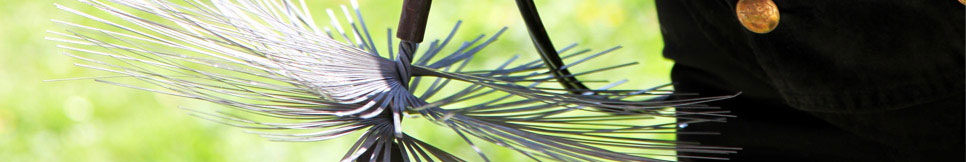 Banner - Jörg Dasbach